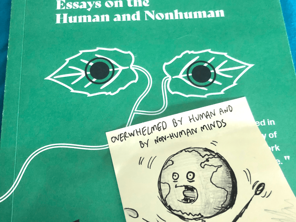 Review: Strangers, by Rebecca&nbsp;Tamás